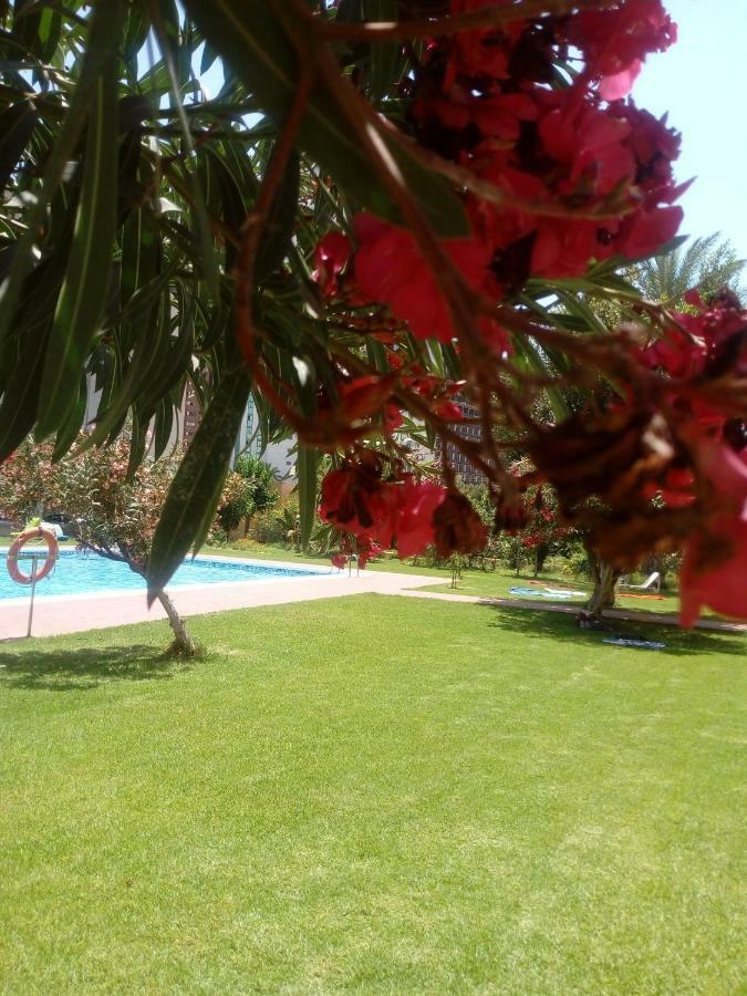 Studio Hannibal 1 Apartment Cala de Finestrat Ngoại thất bức ảnh